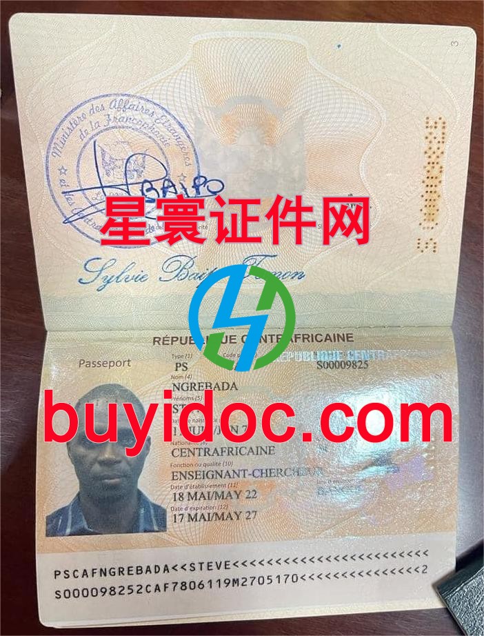 定制中非共和国护照