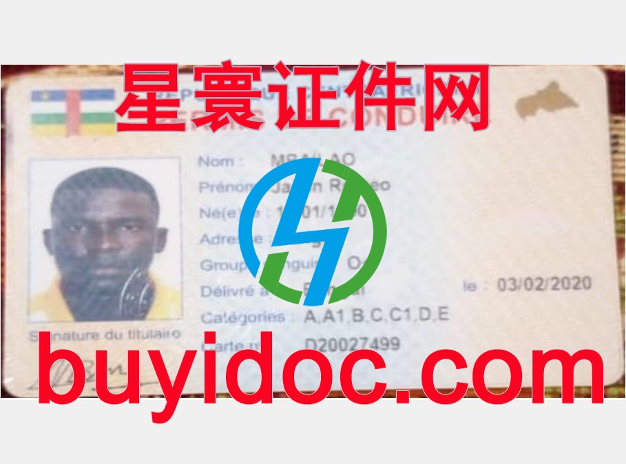 定制中非共和国驾驶证