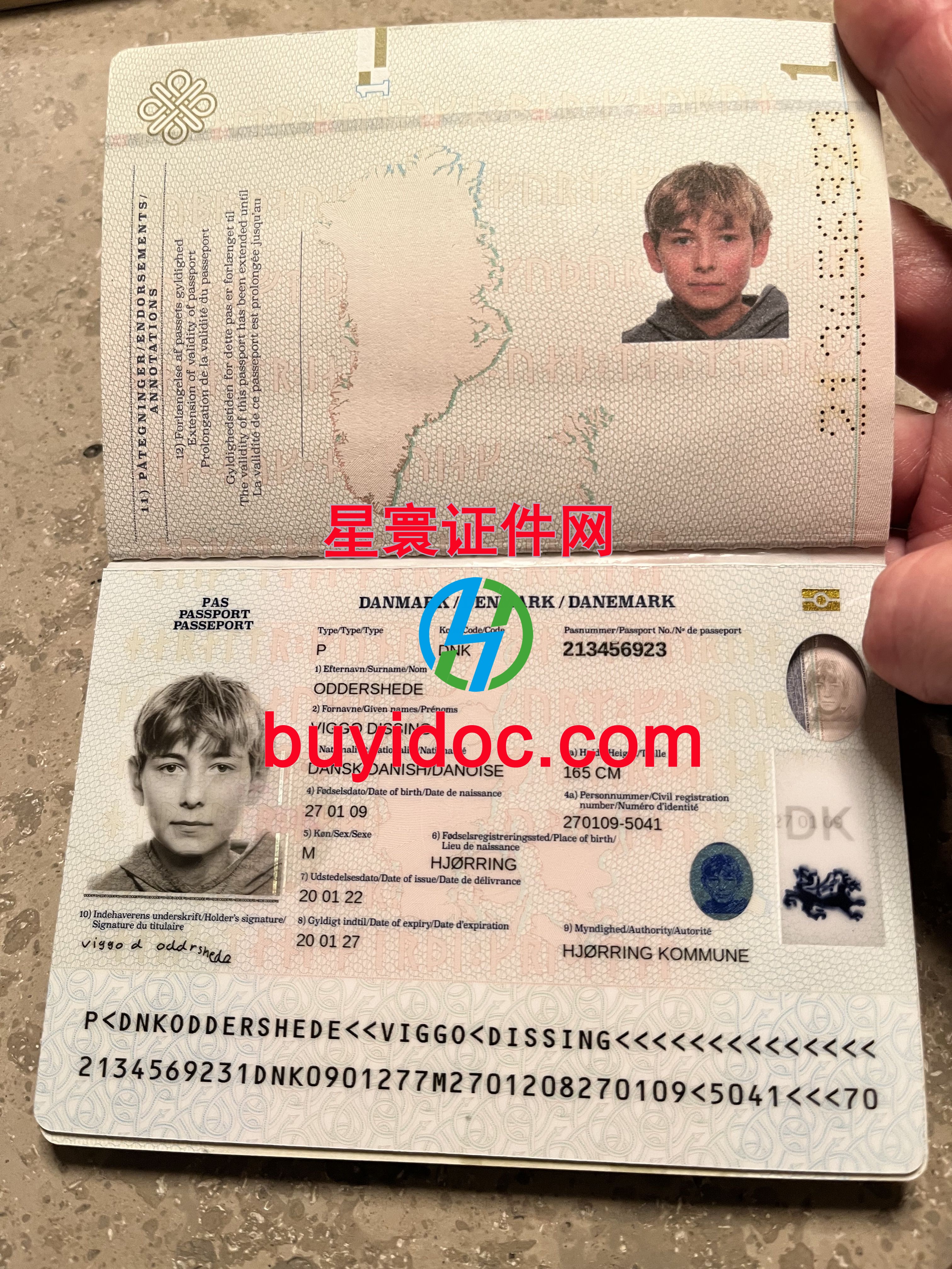 定制丹麦护照