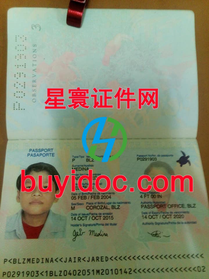 定制伯利兹护照