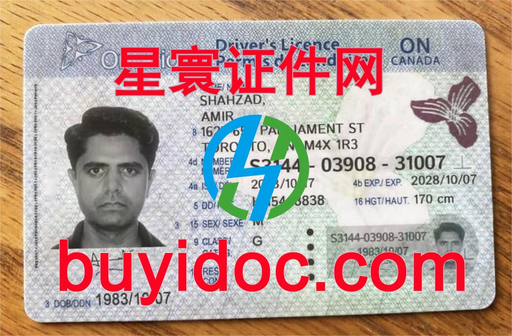 定制加拿大安大略省驾驶证