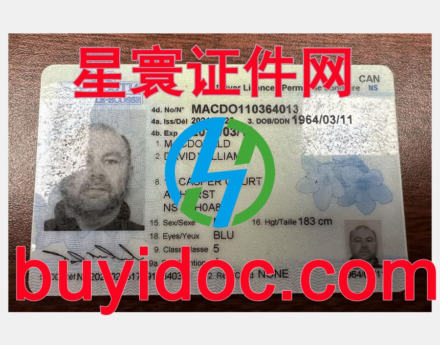 定制加拿大新斯科舍省驾驶证