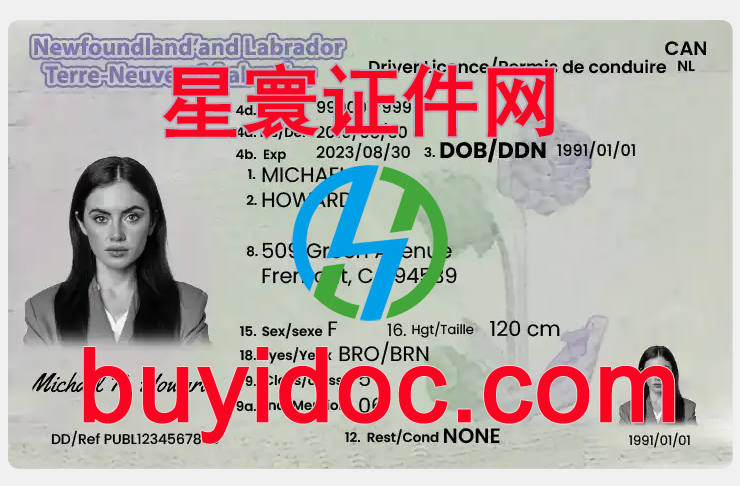 定制加拿大纽芬兰与拉布拉多省驾驶证