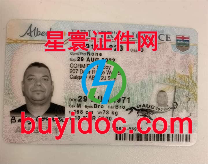定制加拿大阿尔伯塔省驾驶证