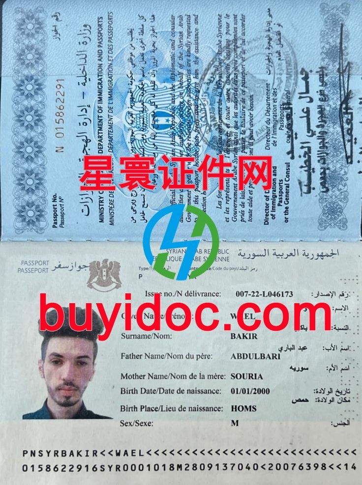定制叙利亚护照