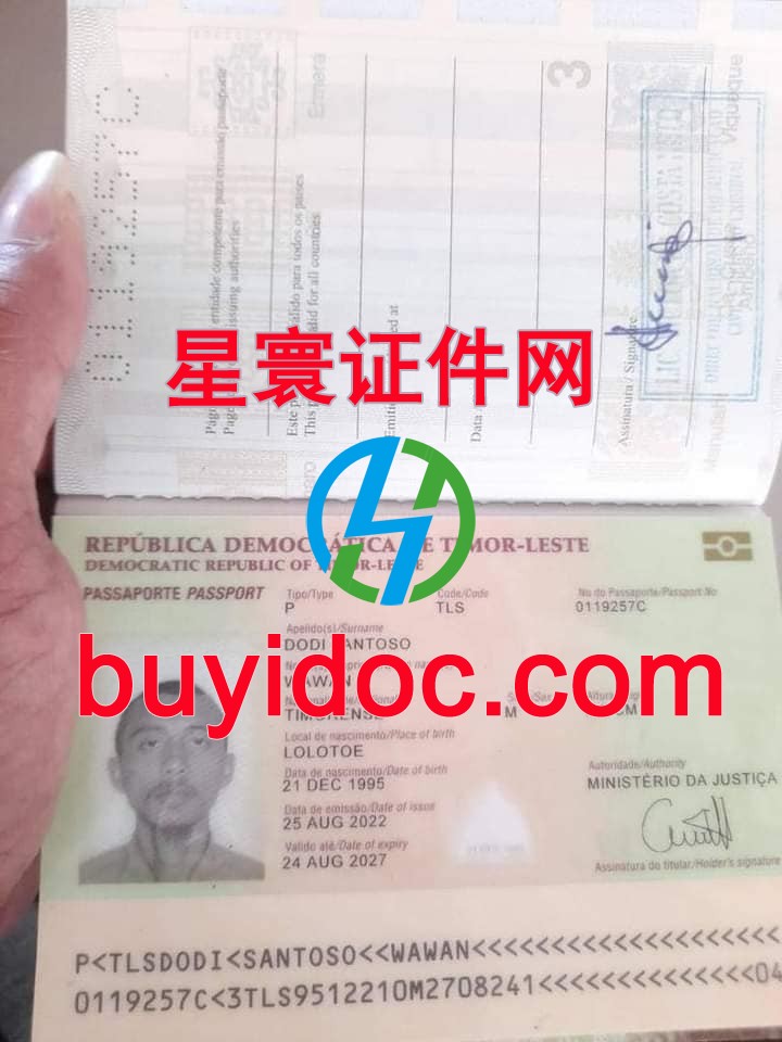 定制定制东帝汶护照