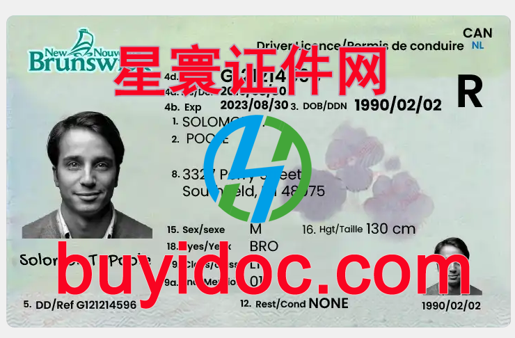 定制定制加拿大新不伦瑞克省驾驶证