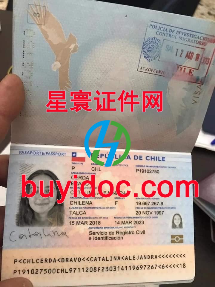 定制智利护照