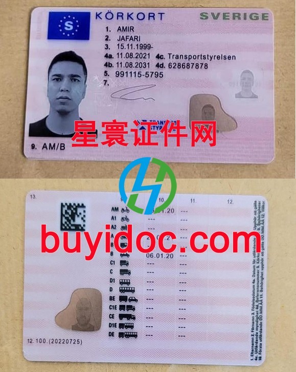 定制瑞典驾驶证