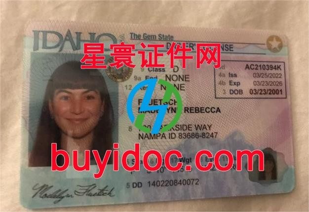 定制美国爱达荷州驾驶证