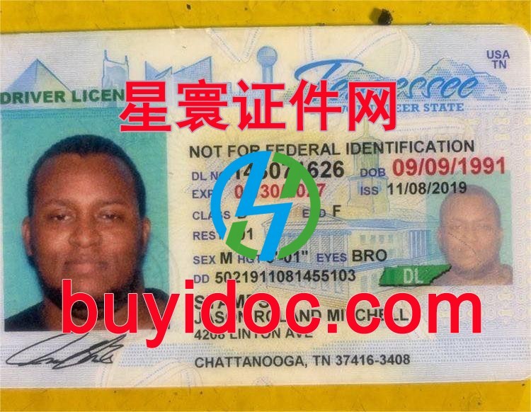定制美国田纳西州驾驶证