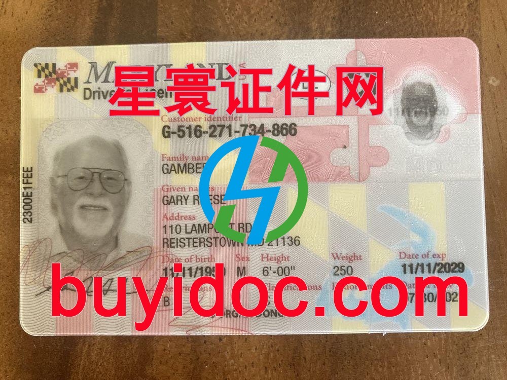 定制美国马里兰州驾驶证