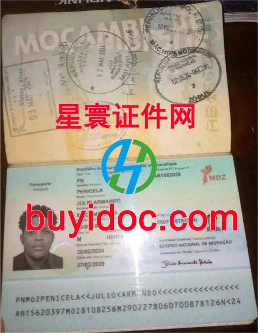 定制莫桑比护照
