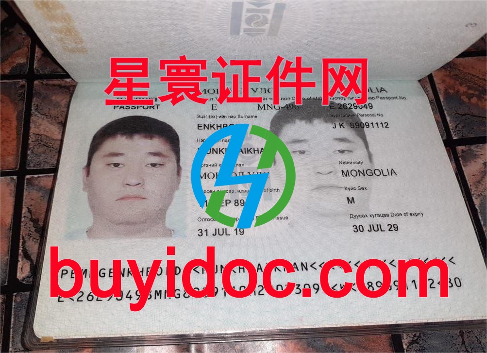 定制蒙古护照